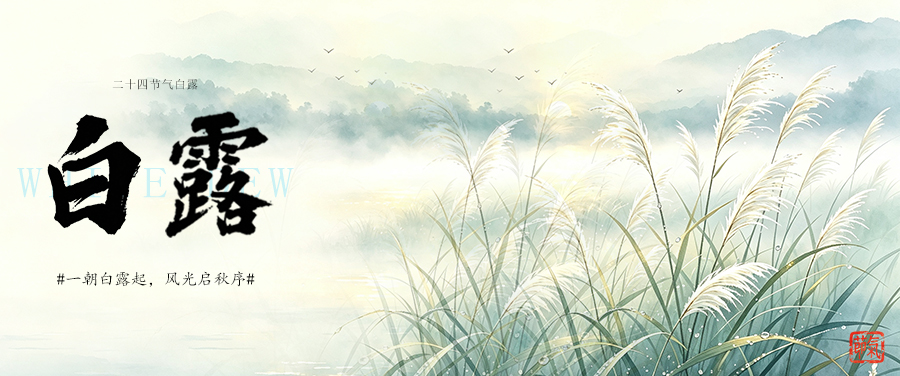As soon as the white dew, the scenery starts in autumn.